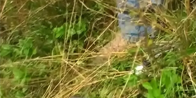 amateur,big natural tits,blonde,blowjob,european,fingering,handjob,hardcore,homemade,natural tits,outdoor,piercing,pussy,riding,shaved,teen