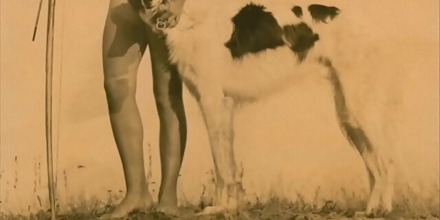 hairy,natural tits,outdoor,retro,vintage